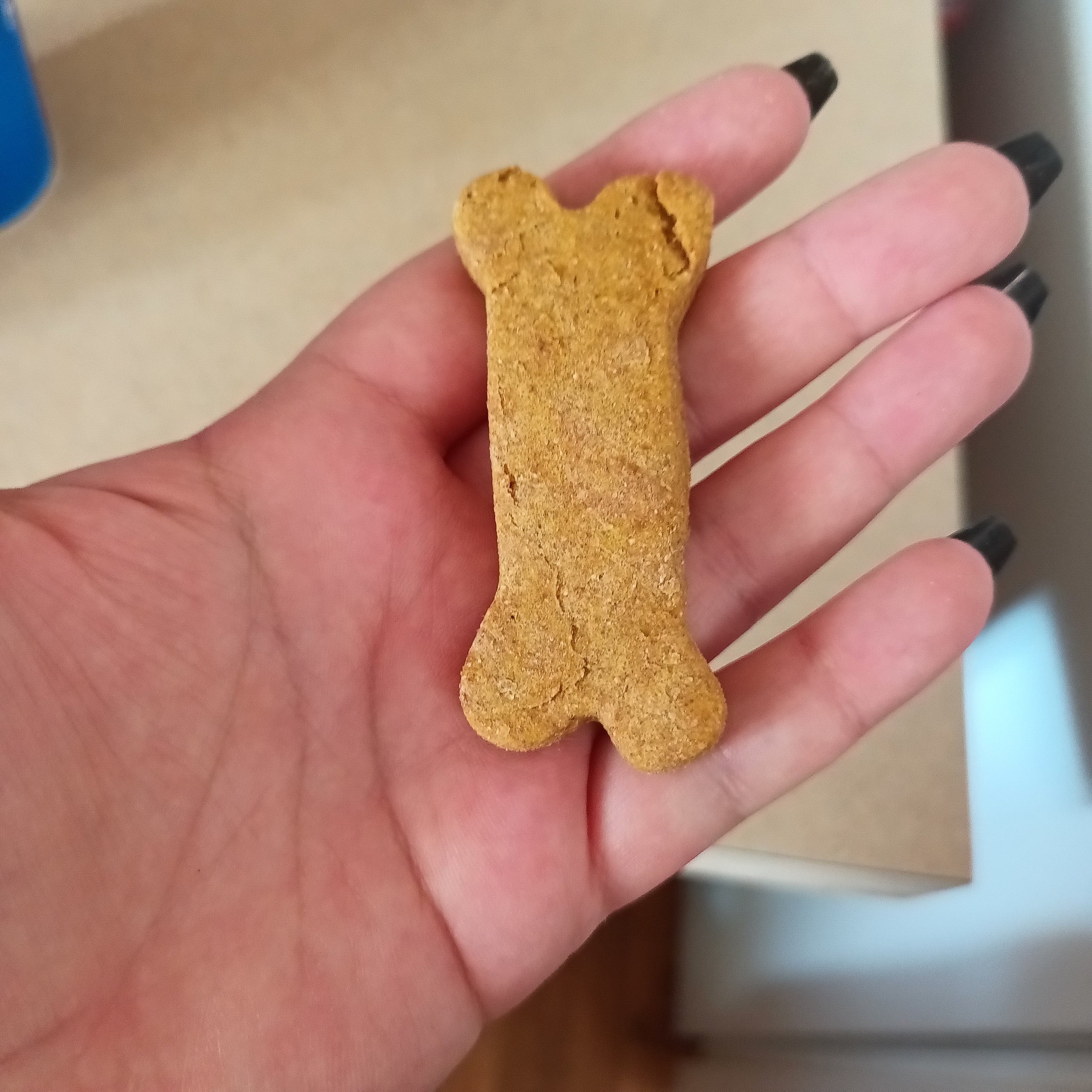 Yummies dog outlet treats